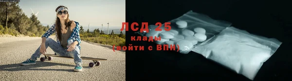 PSILOCYBIN Верея