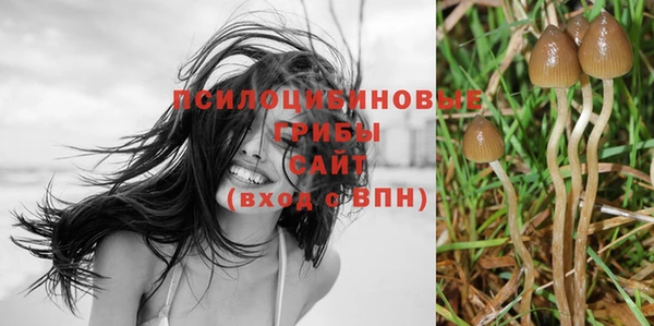 PSILOCYBIN Верея