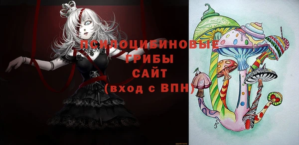 PSILOCYBIN Верея