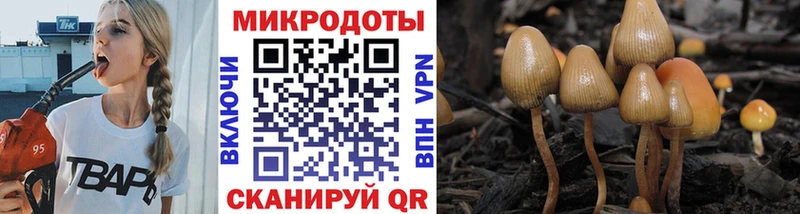 Галлюциногенные грибы Magic Shrooms  Купить закладки  Медвежьегорск 